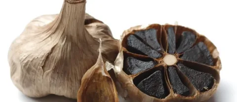 تصویر 3 از سیر سیاه ایران  با طعم ملایم و خاصیت درمانی بالا